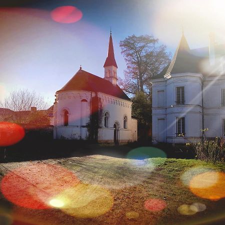 Chateau De Basche Assay Exteriör bild